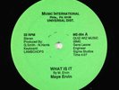 Maye Ervin - What Is It 12