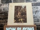 Van Morrison Tupelo Honey Vinyl Record LP USA Pressing VG+