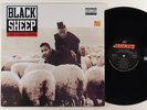 Black Sheep 