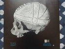 Universal Order Of Armageddon Hardcore Emo Vinyl 7-in