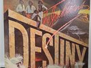 The Jacksons Destiny Vintage Vinyl LP 1978 Epic Record JE 35552