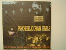 PSYCHEDELIC CROWN JEWELS VOL. 2: SIXTIES GARAGE UNKNOWNS 2xLP/Rare Garage/Psych