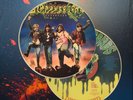 Sloppy Seconds - Destroyed LP 1995 US Picture Disc NM