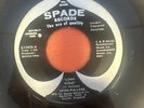 RARE ROCKER ROCKABILLY 45 rpm VERN PULLENS Rock On Mabel on Spade lbl NM-