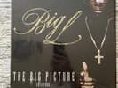 Big L: The Big Picture 2000 x2 LP Rawkus Records RWK-1178 Vinyl LP Record