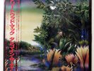 FLEETWOOD MAC TANGO IN THE NIGHT WARNER P13490 1LP