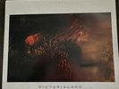 Cocteau Twins ‎Victorialand Record Album Vinyl