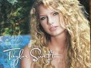 Taylor Swift Debut Vinyl Record 2 LP NM Condition 2024