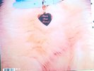 Sabrina Carpenter Mans Best Friend Island Records 12