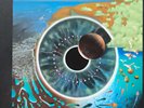 Pink Floyd – XY Live Box Set Schallplatte Vinyl VG+++ bis VG Festpreis 85€