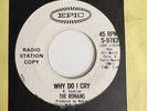 The Remains 45 Why Do I Cry PROMO Garage RARE