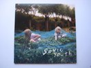 Sonic Youth Murray Street Vinyl LP Goofin' Records GOO-4 Geffen 2002