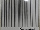 HARRY BERTOIA CONTINUUM SONAMBIENT FW1029 1LP