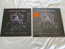 Simple Minds - Direction Of The Heart - Signed Orange Vinyl LP Album