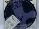 System of a Down - Steal This Album (2xVINYL LP Picturedisc, 2003) 1st Press OOP
