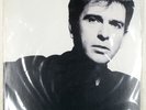 PETER GABRIEL SO CHARISMA 28VB1088 1LP