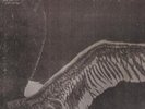 My Dying Bride Turn Loose The Swans - VG 2-LP  (Double )