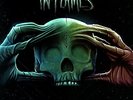 In Flames Battles Boxset 2LP Vinyl + CD Box Set w/ Extras Complete