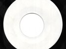 THE ROTTERS Sit On My Face Stevie Nicks 7” Test Pressing 1978 TR-002
