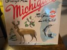 Sufjan Stevens- Michigan Vinyl Record