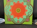 Buffalo 5/9/77 by Grateful Dead (Record, 2020) Limited Edition RSD 2020 Like New