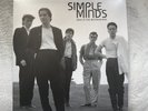 Simple Minds : Back in the Motherland LIVE 1982. *NEW, FREE POSTAGE*