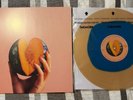 Red Rum Club – How To Steal The World | Ochre & Blue Vinyl | Limited Edition