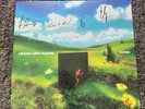 RAINBOW KITTEN SURPRISE Bones SIGNED Blueberry Colored Vinyl LP Record Band RKS