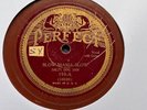 DELTA BLUES GUITAR: SAM COLLINS ’SLOW MAMA SLOW/ NEW SALTY DOG’ PERFECT 78