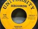 The Little Dippers  Forever / Two by Four Pop 45 on University
