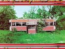 Abandoned Luncheonette by Hall &  Oates  Translucent Red Vinyl NEW