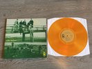 THE RISING STORM Calm Before (Coloured Vinyl LP)