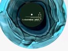 beabadoobee - pylon, Blood Records Vinyl | PRESALE