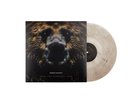 Dermot Kennedy Keep The Evenings Long (Vinyl) (UK IMPORT)