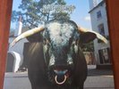 SWERVEDRIVER - MEZCAL HEAD   UK FIRST PRESS     NM