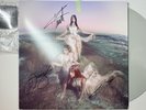 The Warning SIGNED on Cover Everything’s Falling  Stone Colored Vinyl