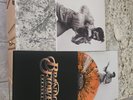Brandon Flowers - THRASHER - Orange Rust Vinyl Blood Records