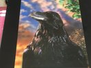 STRANGLERS THE RAVEN JAPANESE UA VINYL LP RECORD INSERT 3D LENTICULAR COVER
