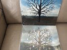 Biffy Clyro Opposites 2 X Vinyl Record Set,The Sand & The Land