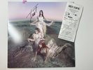 The Warning SIGNED on Cover Everything’s Falling  Stone Colored Vinyl