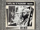SUN RA - FATE IN A PLEASANT MOOD Original On Saturn Spiritual Free Jazz