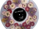 Amy Winehouse – Back To Black 20th Anniversary – Flower-Filled Vinyl LP