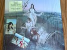 The Warning SIGNED on Cover Everything’s Falling  Stone Colored Vinyl (IN HAND)