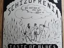 A Taste Of Blues LP Schizophrenia Sweden SSR 1st Press PSYCH & SO RARE BEAUTIFUL
