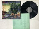 Fleetwood Mac Tango In The Night Japan LP OBI [46048ER]