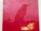 Giant Crow: In The Cut - Cosirecords – CRLP006 - Red Vinyl - 2024