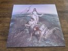 Signed Vinyl LP, The Warning Everything’s Falling, Stone Colored