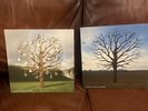 Biffy Clyro The Sand & The Land Vinyl Bundle