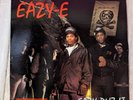 Eazy-Duz-It Eazy-E Vinyl Album 1988 Priority Records Ruthless Records