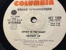 BRUCE SPRINGSTEEN Rock n Roll 45 Spirit in the Night - Growin up b/w Rosalita